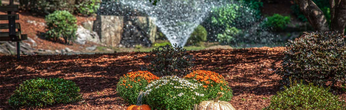 Autumnal flowers and water feature
