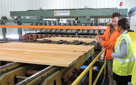 Training at wood processing plant