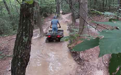 Brown Mountain OHV Trail System Photo