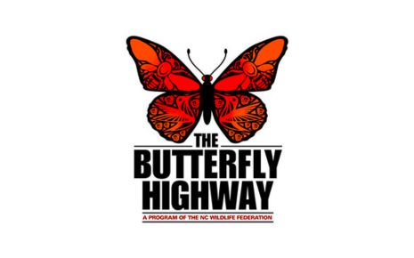 The Butterfly Highway Photo